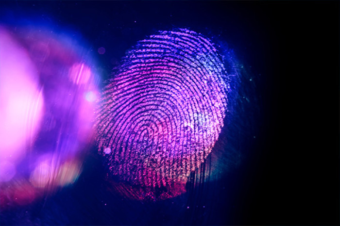 Detection